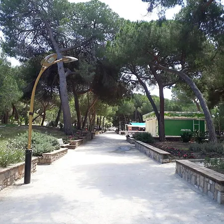 La Palmeraie T3 *